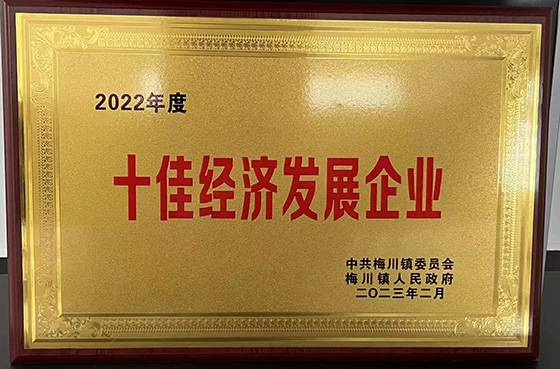 十佳经济发展企业