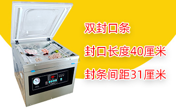 DZ-400/2F台式真空包装机