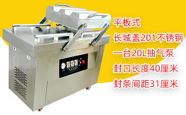 DZ-400/2SA双室平板真空包装机