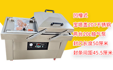 DZ-500/2SC双室凹槽真空包装机