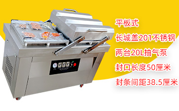 DZ-500/2SA双室平板真空包装机