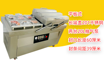 DZ-6002SA双室平板真空包装机