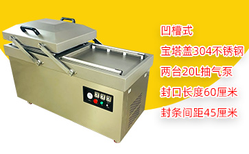 DZ-600/2SB3宝塔盖双室凹槽真空包装机