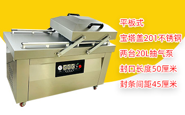 DZ-500/2SA3宝塔盖双室平板真空包装机
