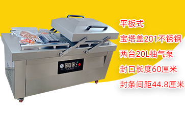 DZ-600/2SA3宝塔盖双室平板真空包装机