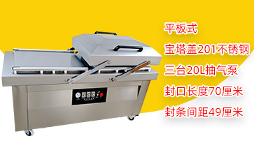 DZ-700/2SA3宝塔盖双室平板真空包装机