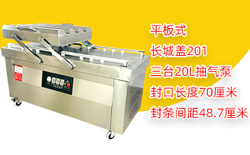 DZ-700/2SA双室平板真空包装机