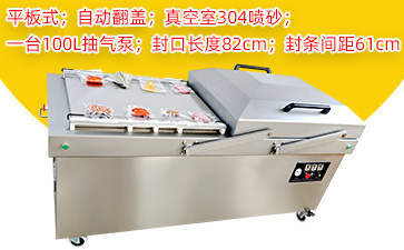 DZ-820/2SA自动翻盖双室平板真空包装机（304喷砂款）