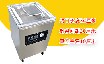 DZ-360/2E单室真空包装机