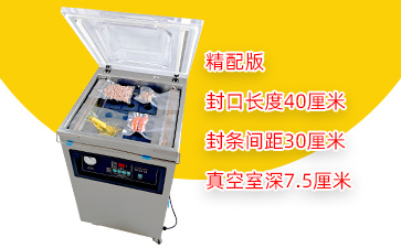 DZ-400/2E单室真空包装机