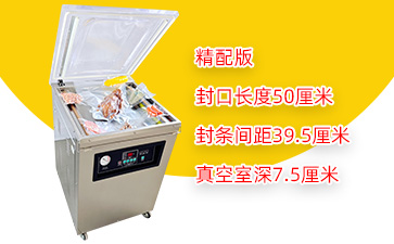 DZ-500/2E单室真空包装机