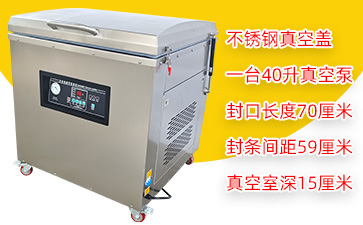 DZ-700/2E单室真空包装机