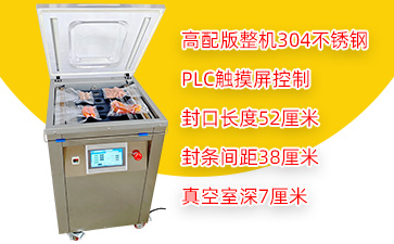 DZ-520/2E-G单室真空包装机（高配版）