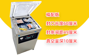 DZ-600/2E单室真空包装机