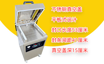 DZ-530/2E单室平板真空包装机
