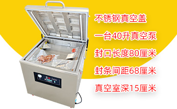 DZ-800/2E单室真空包装机