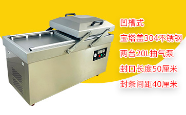 DZ-500/2SB3宝塔盖双室凹槽真空包装机