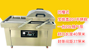 DZ-400/2SC双室凹槽真空包装机