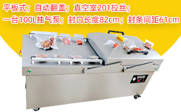 DZ-820/2SA自动翻盖双室平板真空包装机（201拉丝款）